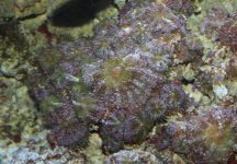 IMG_0927.JPG
