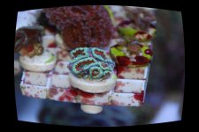 DSC_0546.jpg