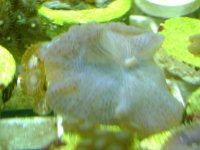 DSC01262.jpg