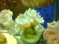 DSC01264.jpg