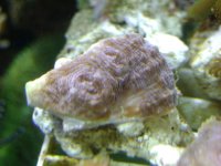DSC01236.jpg