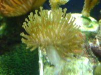 DSC01237.jpg