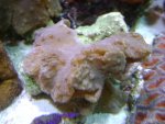 DSC01267.jpg