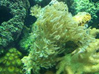 100_1477.jpg