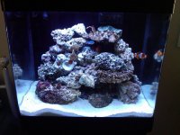 IMG00188-20100302-0853.jpg