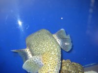 IMG_2687.jpg