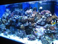 full tank shot.JPG