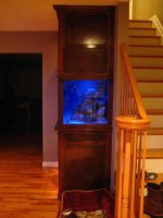 side new tank 4.jpg