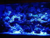 IMG_1085_1.jpg