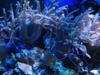 IMG_1110.jpg