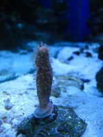 frag of the unknown.jpg
