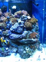 right side of tank.JPG