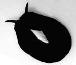 my black slugs.jpg
