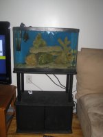 MY AQUARIUM ALBUM.jpg