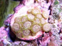 Picture Underwater 032.jpg