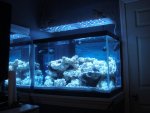 DSC00124.jpg