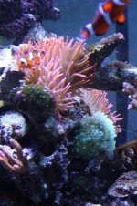 IMG_9012.jpg