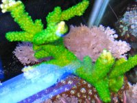 IMG_9047.jpg
