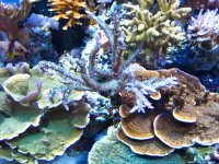 IMG_9049.jpg
