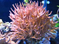 IMG_9052.jpg