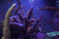 100_1755.jpg