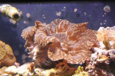 DSC_2051.jpg