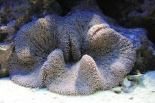 DSC_2079.jpg