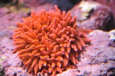 DSC_5986.jpg
