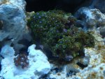DSC00140.jpg