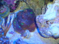 DSC03025.JPG
