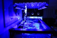 IMG_0501.jpg
