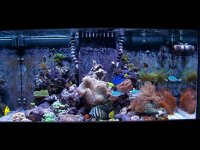 aquarium 011.jpg