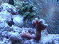 DSC00108.jpg