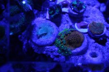 IMG_0545.jpg