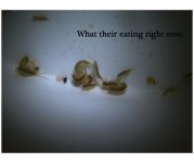food.jpg