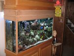 fish tank room 003.jpg