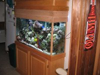 fish tank room 002.jpg