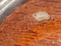 IMG_0743.jpg