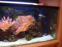 RBTA Tank Shot 2.jpg