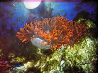 IMG_3401.jpg