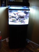 DSCN0286.jpg