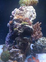 IMG_0134.jpg IMG_0134.jpg