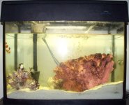 Aquarium_Week1_Web.jpg