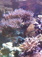 IMG00068-20090723-1006.jpg