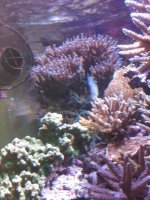 IMG00069-20090723-1007.jpg