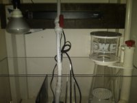 IMG00084-20100904-1032.jpg