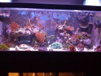 IMG_0220.jpg