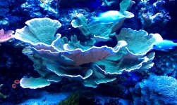 IMAG0058.jpg