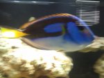 2010-09-06 12.17.51.jpg