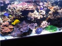 View IMG00084-...jpg